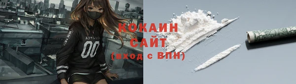 трава Новозыбков