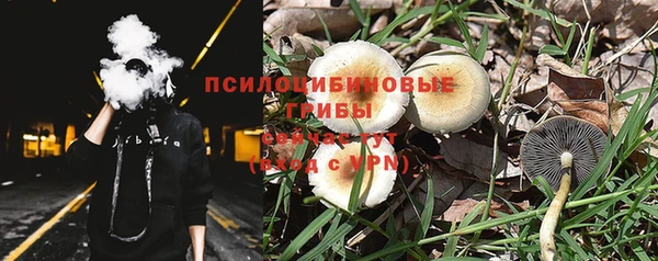 дурь Алзамай