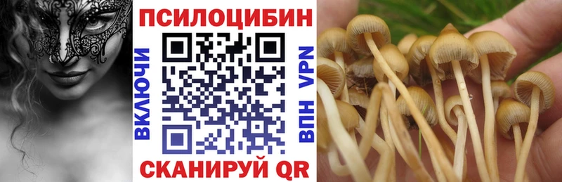 KRAKEN рабочий сайт  Новочеркасск  Галлюциногенные грибы прущие грибы  как найти наркотики 